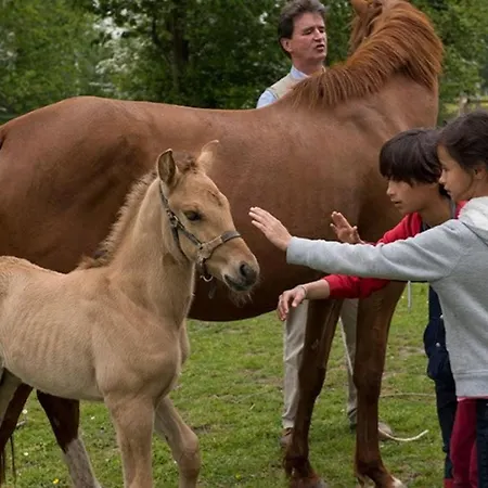 营地 Grande Maison - Animaux Acceptes - 13 Pers. - Api-1-52-2558 Beauchamps (Somme)