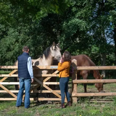 Grande Maison - Animaux Acceptes - 13 Pers. - Api-1-52-2558 Campingplads *